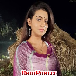 bhojpuri holi video songs free download khesari lal