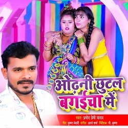 Odhani Chhutal Bagaicha Me Dj Remix