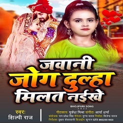 Jawani Jog Dulha Milat Naikhe (Shilpi Raj)