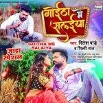 Goitha Me Salaiya (Ritesh Pandey, Shilpi Raj) Ritesh Pandey, Shilpi Raj  New Bhojpuri Full Movie Mp3 Song Dj Remix Gana Video Download