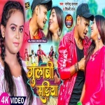 Gulabi Sariya (Nagendra Ujala, Shilpi Raj, Raj Bhai) 2023 Video Song Nagendra Ujala, Shilpi Raj, Raj Bhai  New Bhojpuri Full Movie Mp3 Song Dj Remix Gana Video Download