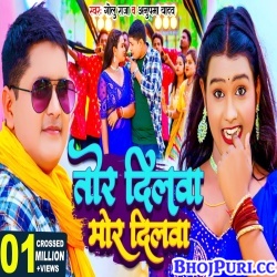 Tor Dilwa Mor Dilwa (Golu Raja, Anupama Yadav) Video Song