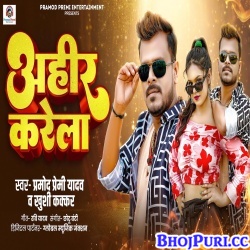 Ahir Karela