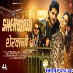 Sherwani