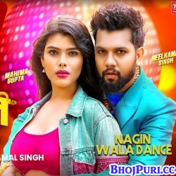 Nagin Wala Dance
