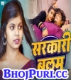 Sarkari Balmu.mp3 Shivani Singh New Bhojpuri Mp3 Dj Remix Gana Video Download