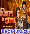 Pittal Ke Dana