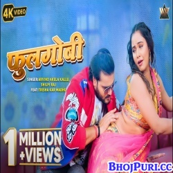 Fulgobhi (Kallu, Shilpi Raj)