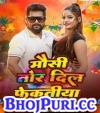 Mausi Tor Dil Fekatiya.mp3 Tuntun Yadav,Antra Singh Priyanka New Bhojpuri Mp3 Dj Remix Gana Video Download