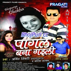 Pagal Bana Gaili (Amit Tiwari, Sarita Sargam)