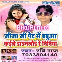 Jija Ji Pet Me Babuwa Kaile Dowanload Re Didiya