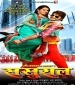Balam Mora Rang Rasiya.mp3 Alka Jha, Anshu Singh New Bhojpuri Full Movie Mp3 Song Dj Remix Gana Video Download