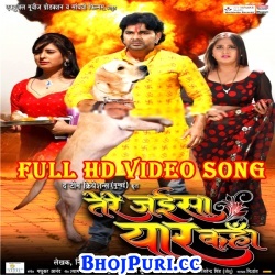 Tere Jaisa Yaar Kahan (2017) Pawan Singh Bhojpuri Full Movie Video Songs