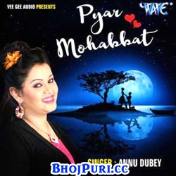 Pyar Mohabbat : Sad Album Mp3 Songs (Anu Dubey) 2017