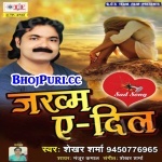 Jakhme Dil (2017) Shekhar Sharma Bhojpuri Best Sad Song Mp3 Shekhar Sharma Team Films New Bhojpuri Full Movie Mp3 Song Dj Remix Gana Video Download
