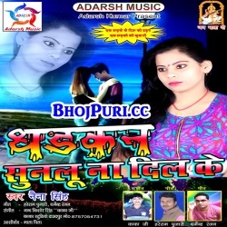 Dhadkan Sunalu Na Dil Ke (2017) Naina Singh Full Mp3 Song