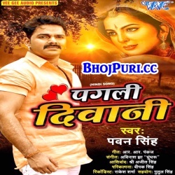 Pagli Diwani (2017) Pawan Singh Hindi Sad Mp3 Song Download