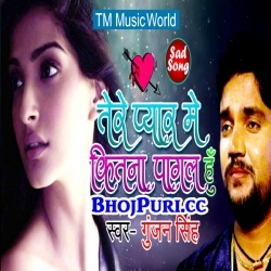 Tere Pyar Me Kitna Pagal Hu (Gunjan Singh) Bhojpuri Sad Song Download