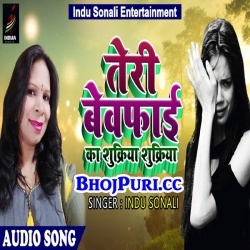 Teri Bewafai Ka Shukriya Shukriya (Indu Sonali) Sad Song Download