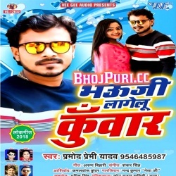 Bhauji Lagelu Chhinar 2019 Pramod Premi Yadav Mp3 Songs Download