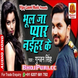 Bhool Ja Pyar Naihar Ke (Gunjan Singh) 2019