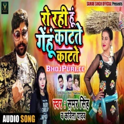Mar Gayi Gehu Katate Katate (2019) Samar Singh New Mp3 Song