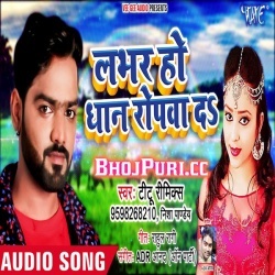 Labhar Ho Dhan Ropwa Da Mp3 Titu Remix Nisha Pandey Song