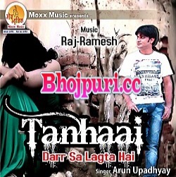 Tanhaai