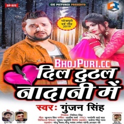 Dil Tutal Nadani Me (Gunjan Singh) 2019 Dard Bhara Gana Download