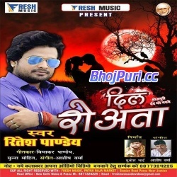 Dil Roata (Ritesh Pandey)