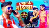 Dj Baji Maal Ke Tola (Video Song)