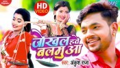 Jokhal Hawe Balamua (Video Song)