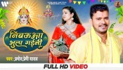 Nibaua Bhula Gaini (Video Song)