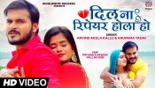 Dil Na Repair Hola Ho (Video Song)