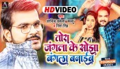 Tora Jangla Ke Sojha Bangla Banaib (Video Song)