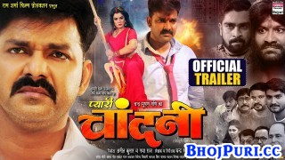 Pyari Chandni Bhojpuri Full Movie Officail Trailer