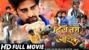 Dil Tera Aashiq New Bhojpuri Full Movie 2022