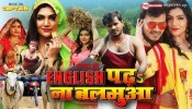 English Padha Na Balamua Bhojpuri Full Movie 2022